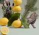 PENHALIGON'S Bouquet, Гель для душу, Pump dispenser 300 мл. LV-00012920 фото 3